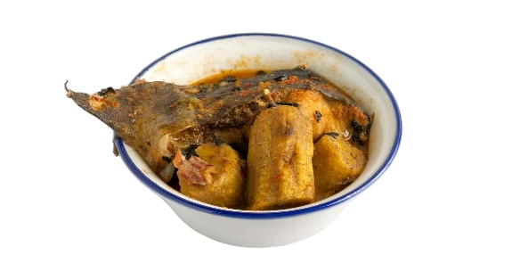 Cat Fish